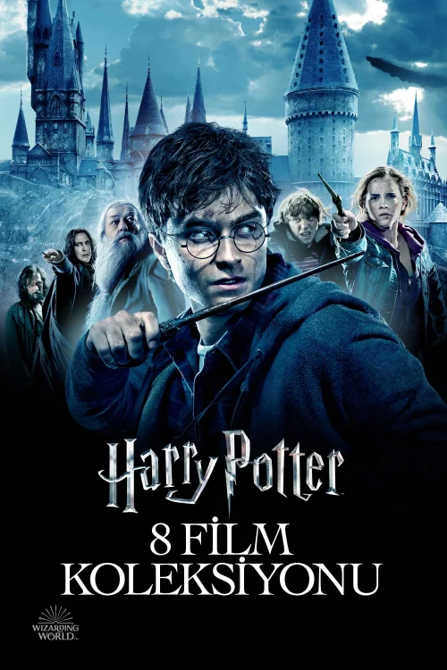 Harry Potter Koleksiyonu