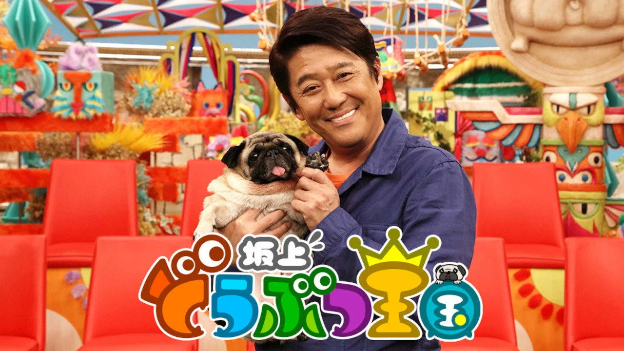 Sakagami Animal Kingdom
